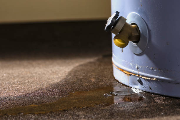 Best Water damage restoration near me  in Lake Goodwin, WA