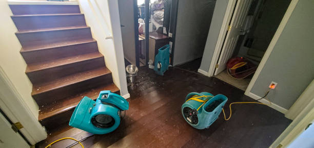 Reliable Lake Goodwin, WA Water damage restoration Solutions