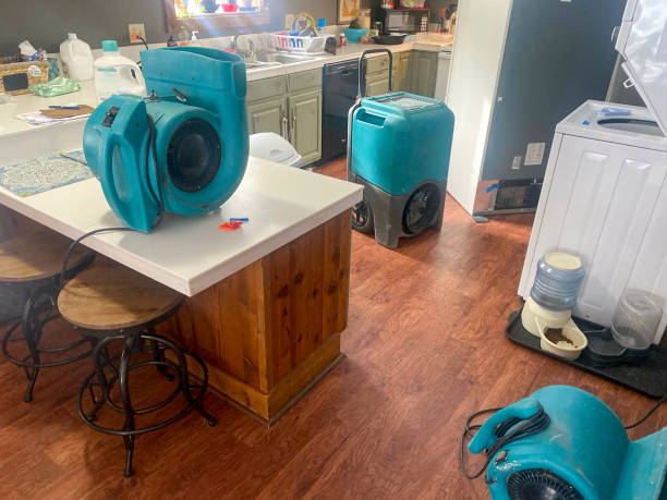 Best Local water damage restoration  in Lake Goodwin, WA