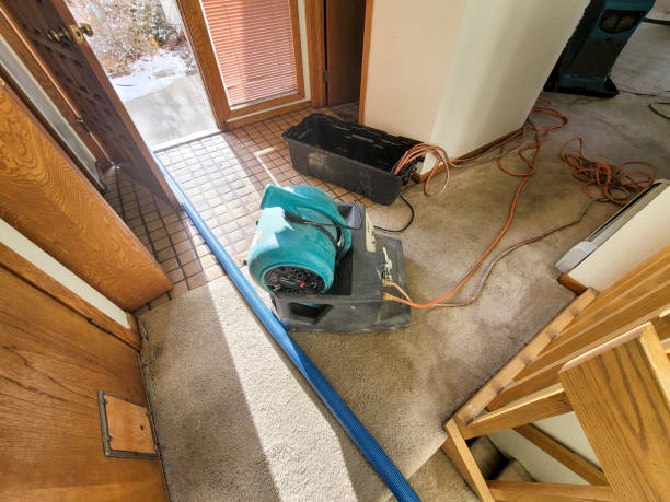 Best Basement water damage restoration  in Lake Goodwin, WA