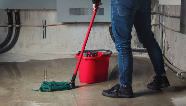 Best Water damage restoration near me  in Lake Goodwin, WA