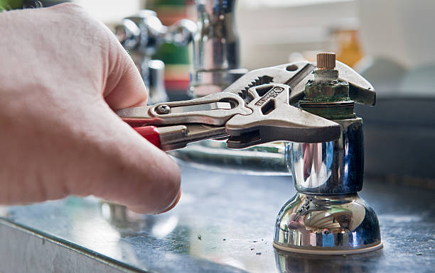 Best Professional water damage repair  in Lake Goodwin, WA