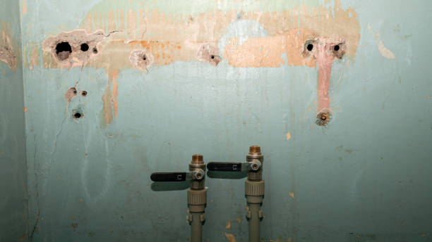 Water damage restoration mold remediation in Lake Goodwin, WA