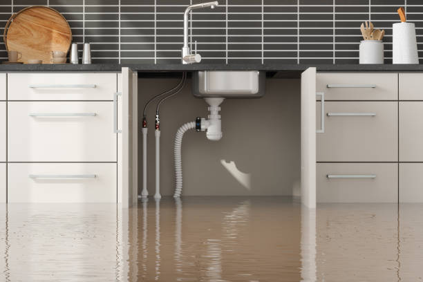 Water damage restoration experts in Lake Goodwin, WA