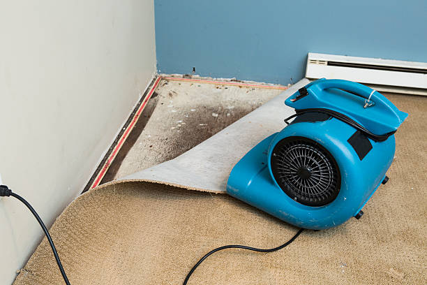 Best Emergency water damage restoration  in Lake Goodwin, WA